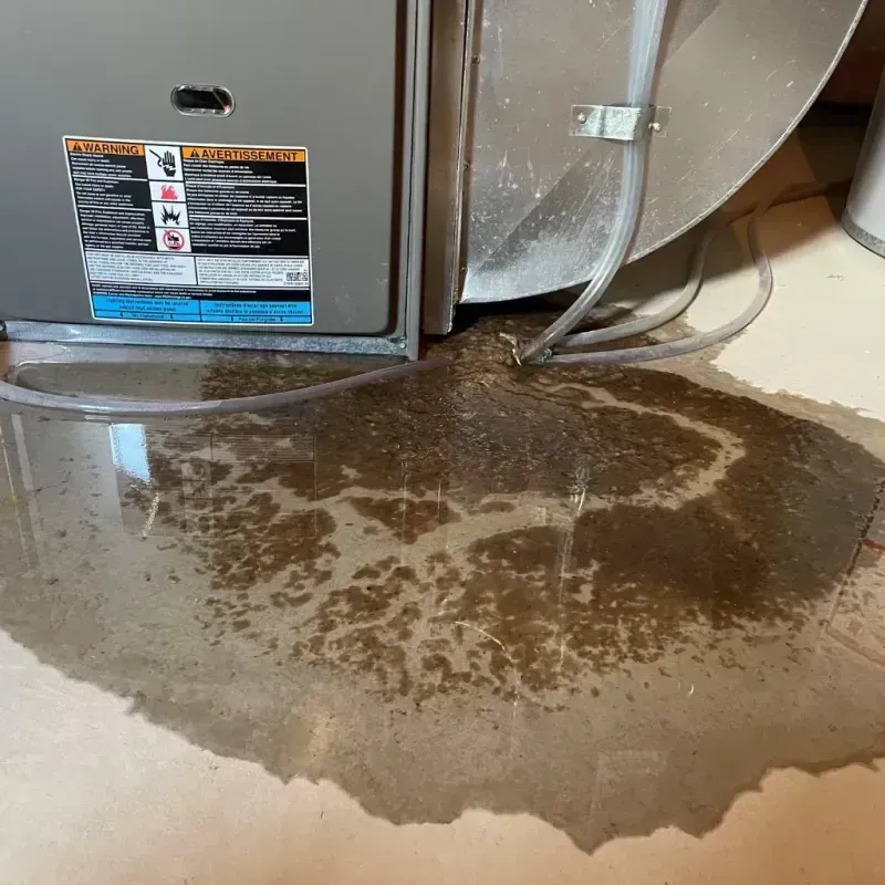 Appliance Leak Cleanup in Toombs County, GA